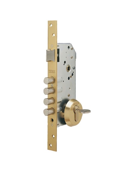 Cerradura Tesa Seguridad R100B566 Esmaltada