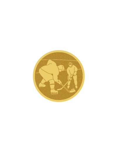 25/26 DISCO DORADO AUTOADHESIVA HOCKEY Ø 2,5 CM
