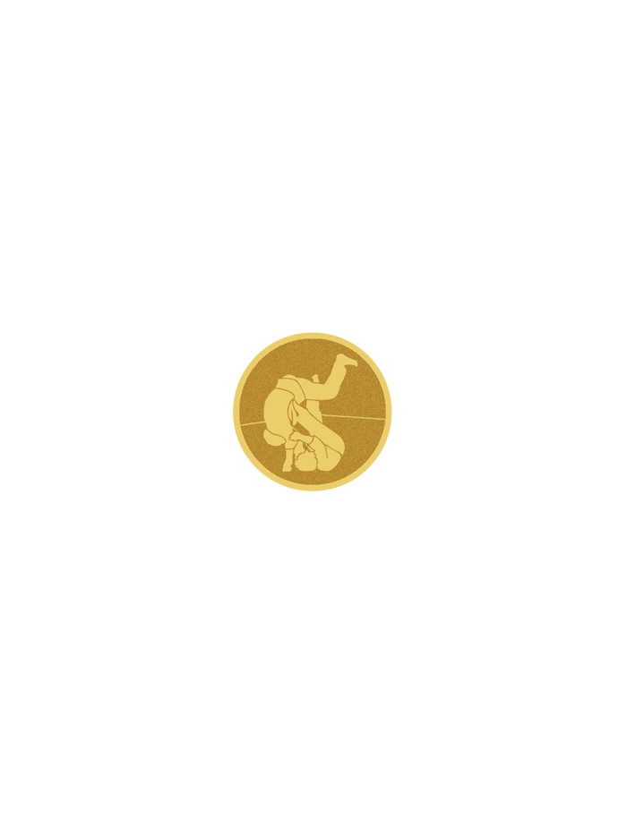 25/26 DISCO DORADO AUTOADHESIVA JUDO Ø 2,5 CM