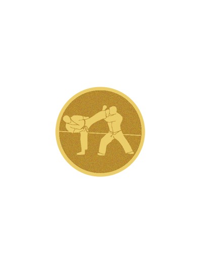 25/26 DISCO DORADO AUTOADHESIVA KARATE Ø 2,5 CM