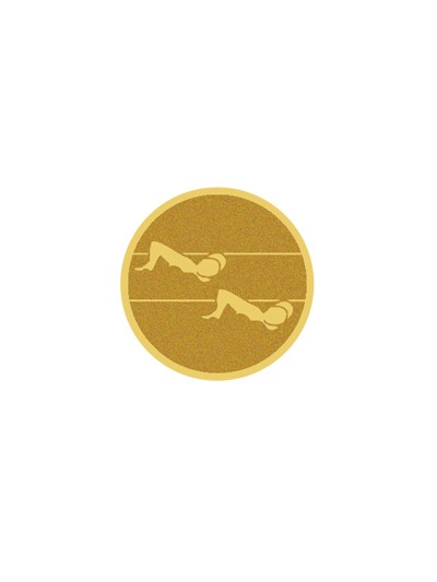 25/26 DISCO DORADO AUTOADHESIVA NATACION Ø 2,5 CM