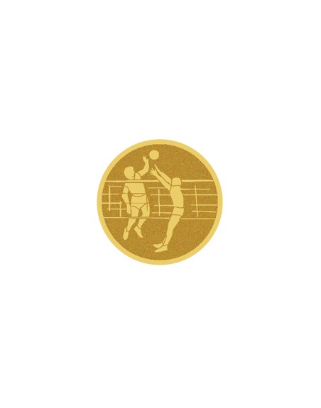 25/26 DISCO DORADO AUTOADHESIVA VOLEIBOL Ø 2,5 CM