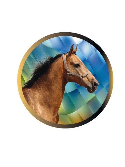 25/26 DISCO EPOXY CABALLO Ø 2,5 CM