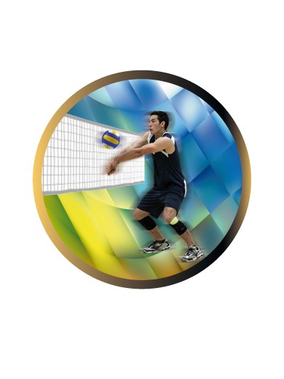 25/26 DISCO EPOXY VOLEYBOL MASCULINO Ø 2,5 CM
