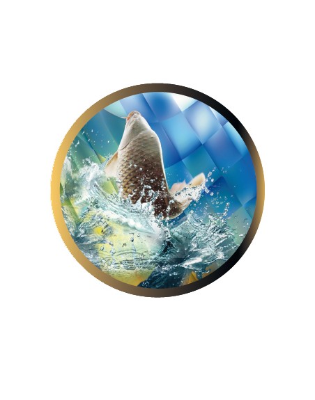 25/26 DISCO EPOXY PESCA Ø 2,5 CM