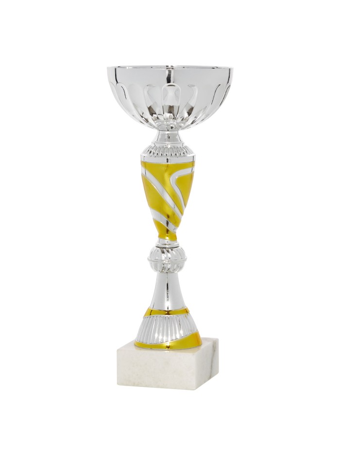 25/26 COPA CATALOGO