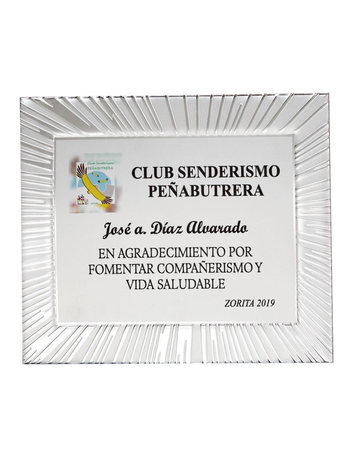 25/26 SOLO PLACA. 20 x 15 CM