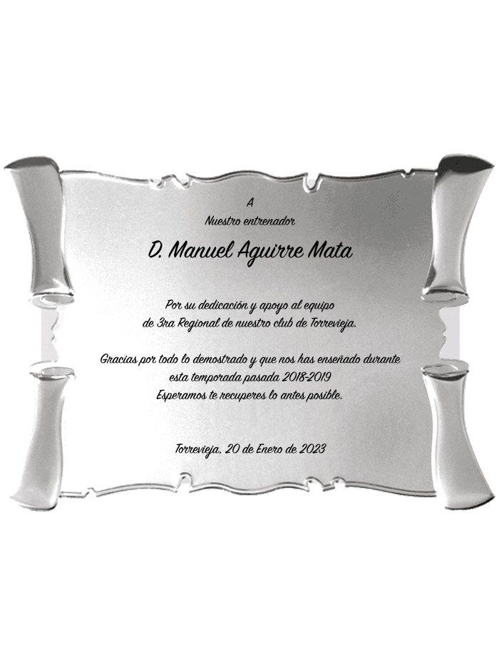25/26 SOLO PLACA. 18 x 13 CM (E46)(MAD61, MAD12,MAD141,MAD82,MAD51)