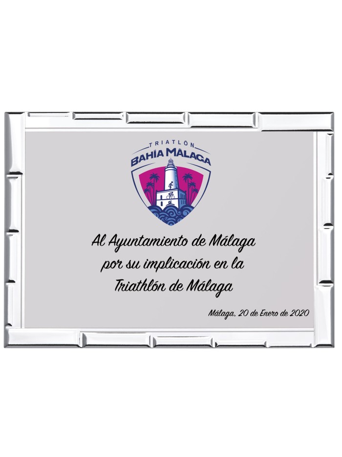 25/26 SOLO PLACA. 12 x 9 CM (E44)(MAD60,MAD11,MAD50)
