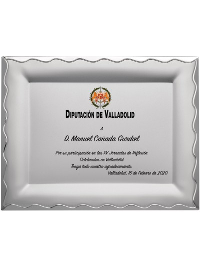25/26 SOLO PLACA. 20 x 15 CM (E48)(MAD62, MAD13,MAD142,MAD83,MAD52, MAD93)