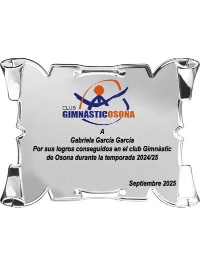 25/26 SOLO PLACA. 18 x 13 CM (E46)(MAD61, MAD12,MAD141,MAD82,MAD51)
