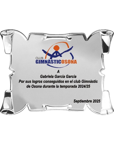 25/26 SOLO PLACA. 18 x 13 CM (E46)(MAD61, MAD12,MAD141,MAD82,MAD51)
