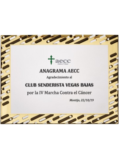 25/26 SOLO PLACA. 18 x 13 CM (E46)(MAD61, MAD12,MAD141,MAD82,MAD51)
