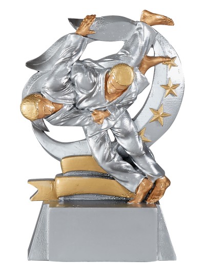 25/26 RESINA  KARATE 15 CM