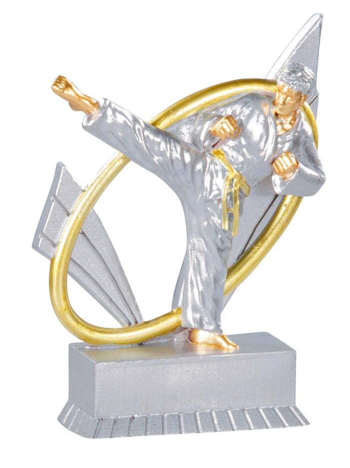 25/26  RESINA JUDO 12 cm