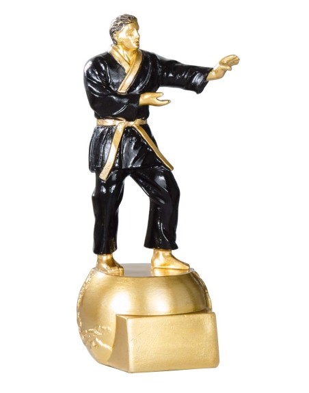25/26  RESINA KARATE 20 cm