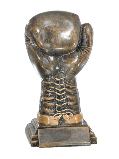 25/26 RESINA  GUANTE BOXEO 23 CM