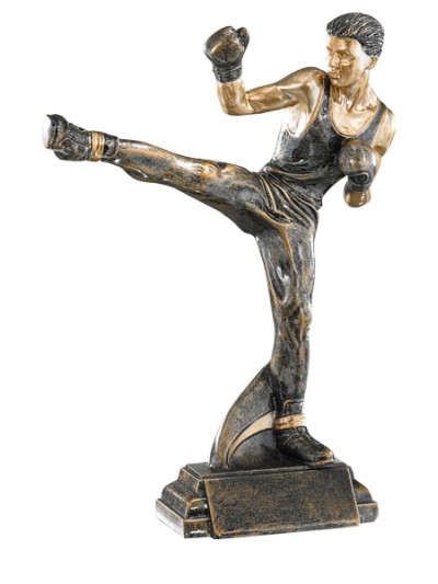 25/26 RESINA ARTES MARCIALES 27 CM