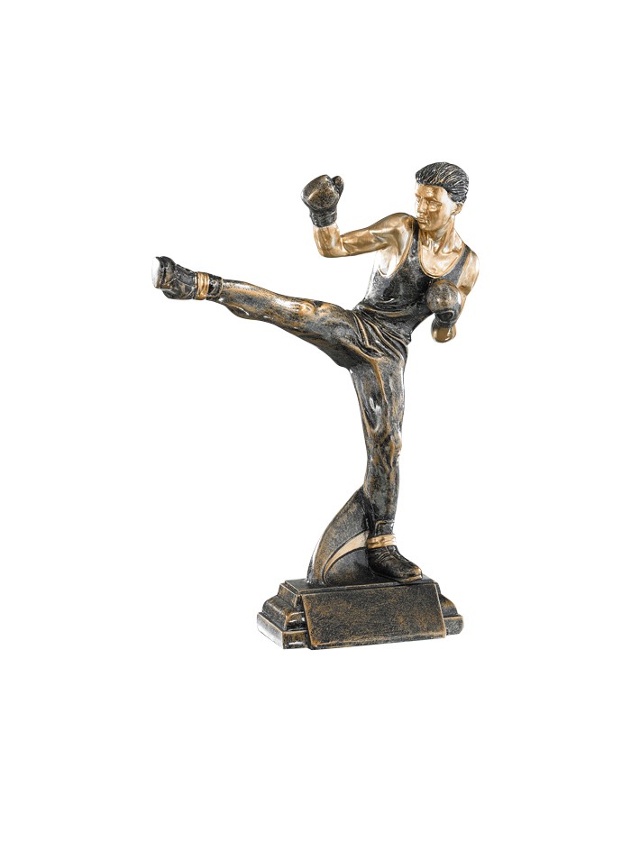 25/26 RESINA ARTES MARCIALES 27 CM