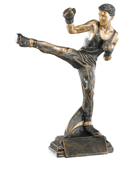25/26 RESINA ARTES MARCIALES 27 CM
