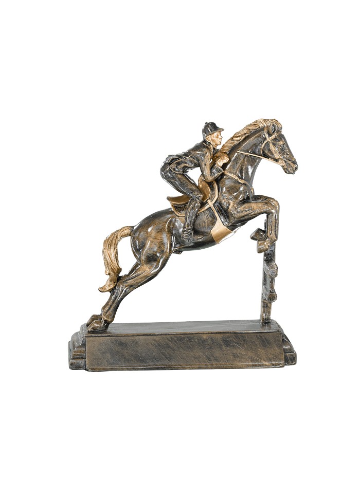 25/26 RESINA EQUITACION 23 CM