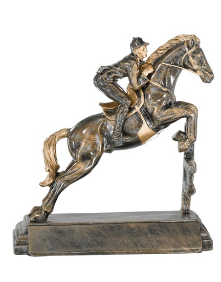 25/26 RESINA EQUITACION 23 CM