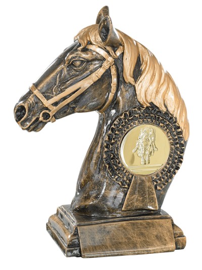 25/26 RESINA  EQUITACION 23 CM