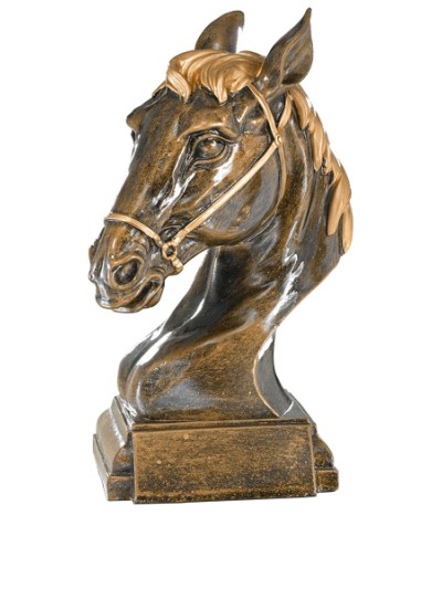 25/26 RESINA  EQUITACION 28 CM