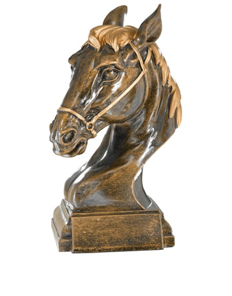 25/26 RESINA  EQUITACION 28 CM