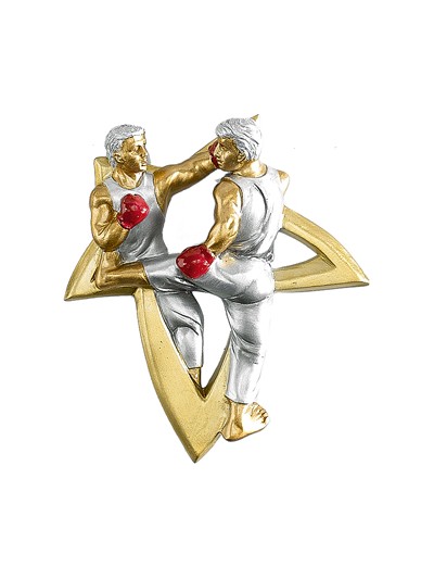 25/26 RESINA APLIQUE BOXEO