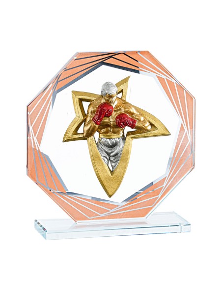 25/26 TROFEO CRISTAL  17 CM