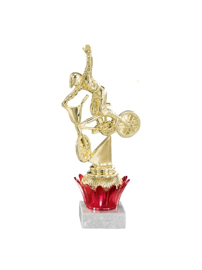25/26 TROFEO ABS PORTA SERIE D  21 CM