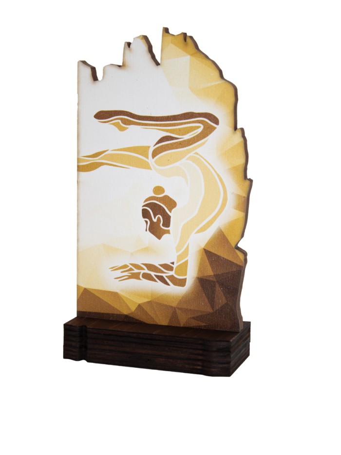 25/26 TROFEO MADERA G.RITMICA . 19 CM
