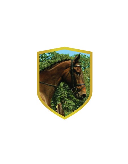 25/26 APLIQUE ALUMINIO CABALLO