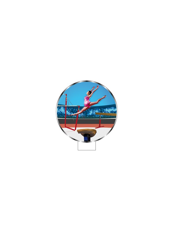 25/26 APLIQUE MDF GIMNASIA