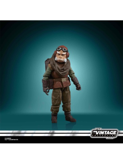 Figura hasbro kuiil 10 cm star wars the mandalorian vintage collection