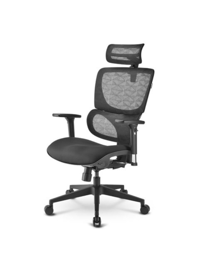 Silla oficina sharkoon officepal c30 negra Silla oficina sharkoon officepal c30 negra