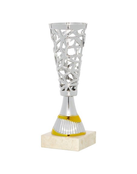 25/26 COPA EN ABS PLATA