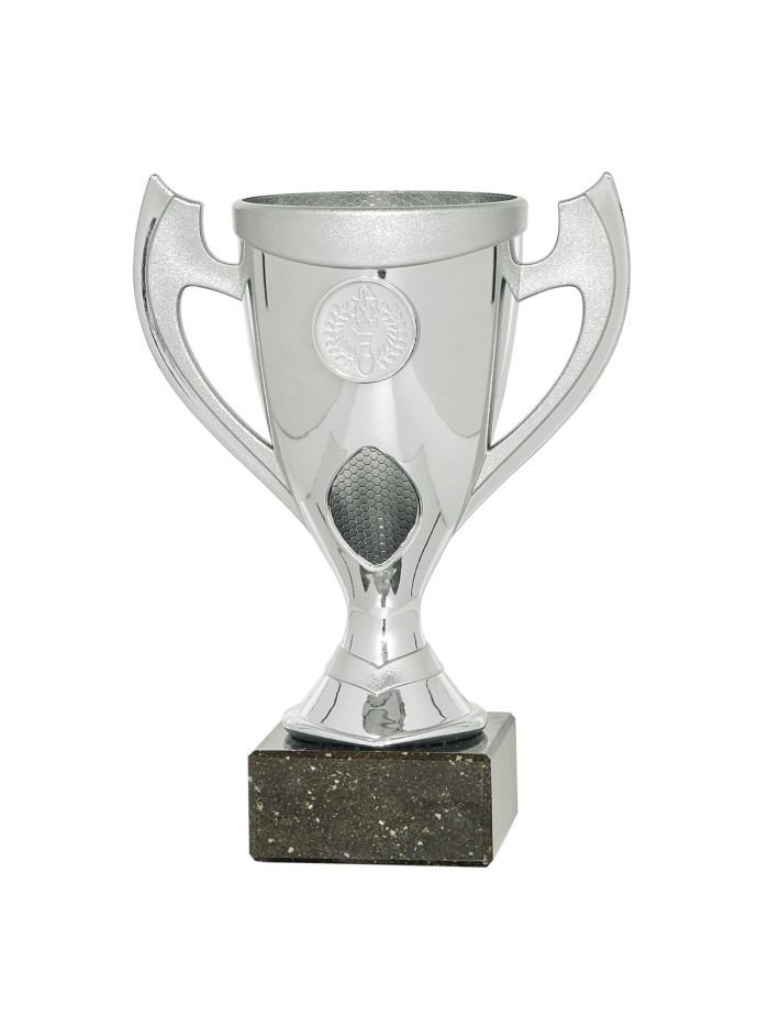25/26 COPA CATÁLOGO ABS PLATA