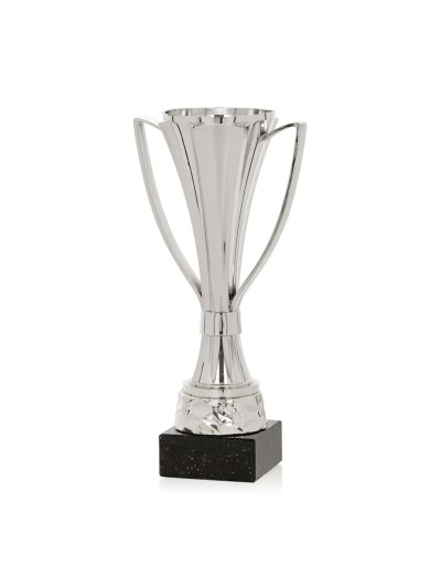 25/26 COPA ABS METALIZADO PLATA