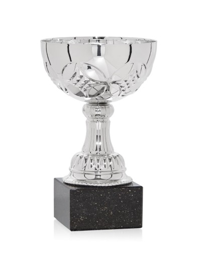 25/26 COPA CATÁLOGO