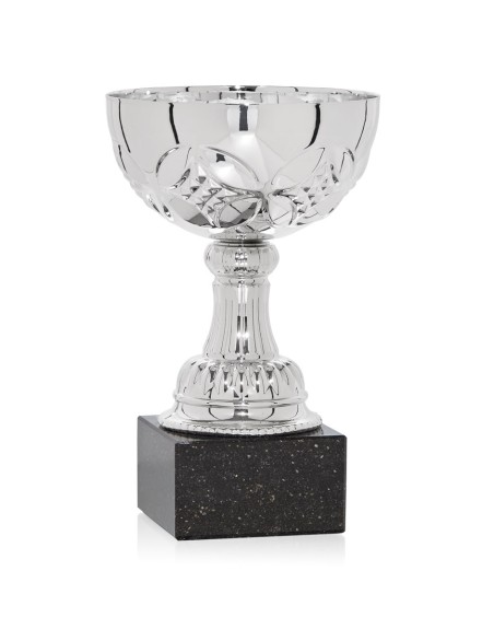 25/26 COPA CATÁLOGO