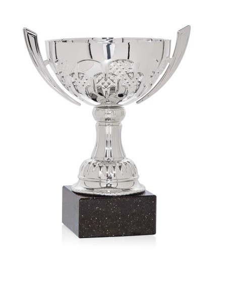 25/26 COPA CATÁLOGO