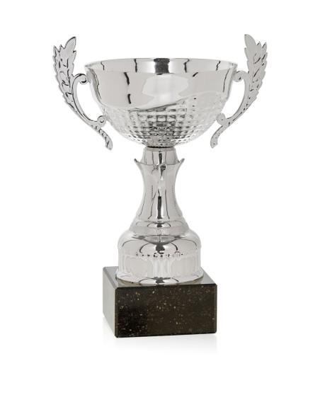 25/26 COPA CATÁLOGO