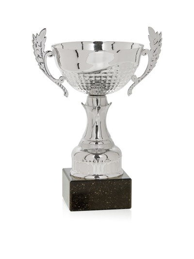 25/26 COPA CATÁLOGO
