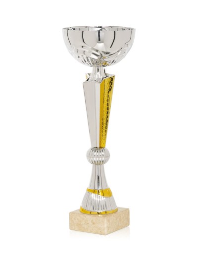 25/26 COPA CATÁLOGO PLATA / ORO