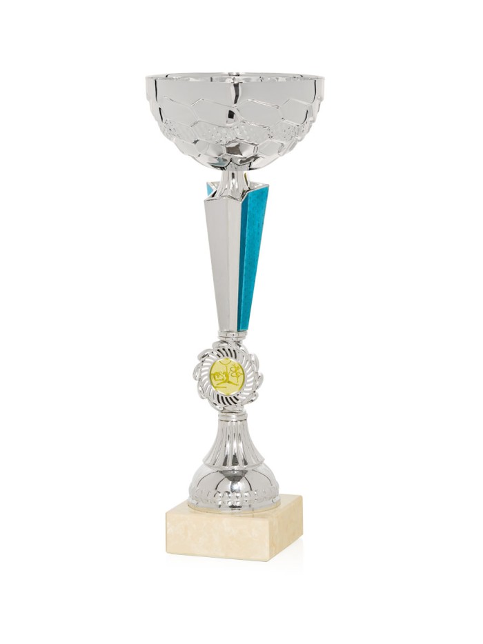 25/26 COPA CATÁLOGO PLATA/AZUL PORTA DISCO 25 mm