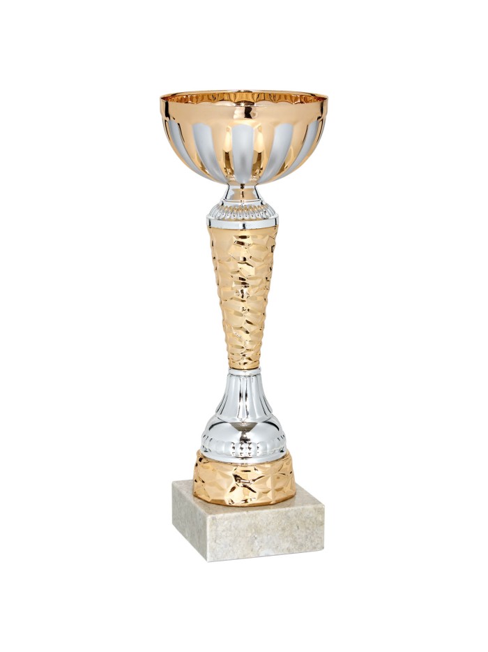 25/26 COPA CATALOGO