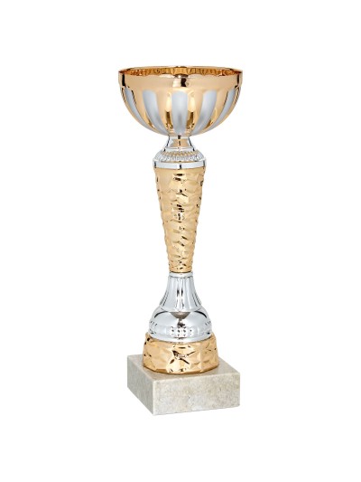 25/26 COPA CATALOGO