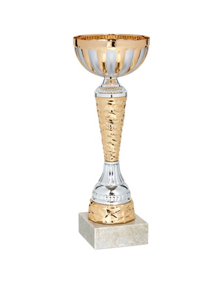 25/26 COPA CATALOGO